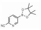 2-Cyanopyridine-5-boronic acid pinacol ester