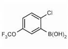 2-Chloro-5-(trifluoromethoxy)phenylboronic acid