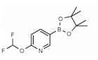 6-(Difluoromethoxy)pyridin-3-ylboronic acid pinacol ester