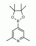 2,6-Dimethylpyridin-4-ylboronic acid pinacol ester
