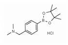 4-(N,N-Dimethylaminomethyl)phenylboronic acid pinacol ester hydrochloride