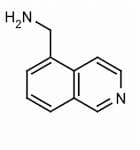 (Isoquinolin-5-yl)methanamine