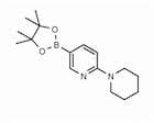 2-(Piperidin-1-yl)pyridine-5-boronic acid pinacol ester