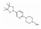 2-(4-Boc-Piperazin-1-yl)pyridine-5-boronic acid, pinacol ester