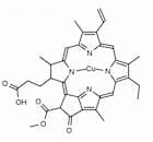 Cu(II) Pheophorbide a