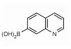 Quinoline-7-boronic acid