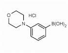 3-(Morpholin-1-yl)phenylboronic acid hydrochloride