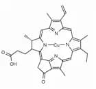Cu(II) Pyropheophorbide a