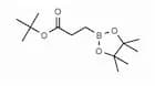 tert-Butyl 3-(4,4,5,5-tetramethyl-[1,3,2]dioxaborolan-2-yl) propionate
