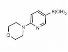 6-(4-Morpholino)pyridine-3-boronic acid