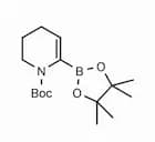 1-(tert-Butoxycarbonyl)-1,4,5,6-tetrahydropyridin-2-ylboronic acid pinacol ester