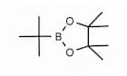 tert-Butylboronic acid pinacol ester