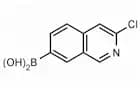 3-Chloroisoquinolin-7-boronic acid
