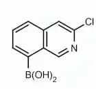 3-Chloroisoquinolin-8-boronic acid