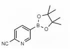 2-Cyanopyridine-5-boronic acid pinacol ester