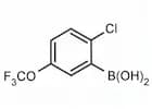 2-Chloro-5-(trifluoromethoxy)phenylboronic acid