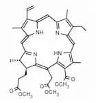 Chlorin e6 trimethyl ester