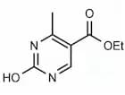 Ethyl 2-hydroxy-4-methylpyrimidine-5-carboxylate