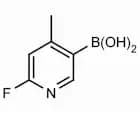 2-Fluoro-4-methylpyridine-5-boronic acid