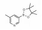 5-Methylpyridine-3-boronic acid pinacol ester