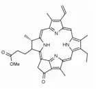 Pyropheophorbide-a methyl ester