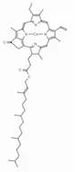 Cu(II) Pyropheophytin a