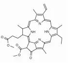 Pheophorbide a Methyl Ester
