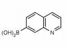 Quinoline-7-boronic acid