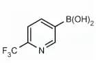 2-(Trifluoromethyl)pyridine-5-boronic acid