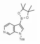 1-Tosyl-1H-pyrrolo[2,3-c]pyridine-3-boronic acid pinacol ester