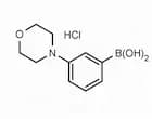 3-(Morpholin-1-yl)phenylboronic acid hydrochloride