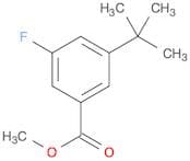 Methyl 3-(1,1-dimethylethyl)-5-fluorobenzoate