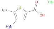 2-Thiophenecarboxylic acid, 4-amino-5-methyl-, hydrochloride