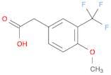 4-Methoxy-3-(trifluoromethyl)phenylacetic acid