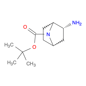 (1R,2R,4S)-rel-tert-Butyl 2-amino-7-azabicyclo[2.2.1]heptane-7-carboxylate