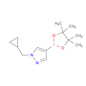 1H-Pyrazole, 1-(cyclopropylmethyl)-4-(4,4,5,5-tetramethyl-1,3,2-dioxaborolan-2-yl)-