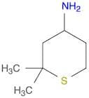 2,2-Dimethylthian-4-amine