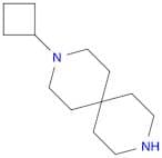 3,9-Diazaspiro[5.5]undecane, 3-cyclobutyl-