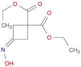 1,1-Cyclobutanedicarboxylic acid, 3-(hydroxyimino)-, 1,1-diethyl ester