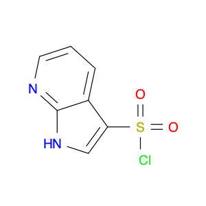 1H-Pyrrolo[2,3-b]pyridine-3-sulfonyl chloride