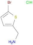 2-Thiophenemethanamine, 5-bromo-, hydrochloride (1:1)