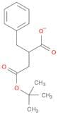 Butanedioic acid, 2-(phenylmethyl)-, 4-(1,1-dimethylethyl) ester