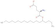 D-Glutamic acid, 5-octadecyl ester