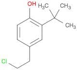 Phenol, 4-(2-chloroethyl)-2-(1,1-dimethylethyl)-