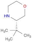 (S)-3-(tert-Butyl)morpholine