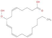 5,9,11,14-Eicosatetraenoicacid, 8-hydroperoxy-, (5Z,8R,9E,11Z,14Z)-