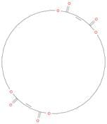 1,6,19,24-Tetraoxacyclohexatriaconta-3,21-diene-2,5,20,23-tetrone