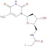 Thymidine,5'-deoxy-5'-[(iodoacetyl)amino]- (9CI)