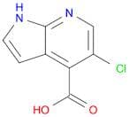 5-Chloro-1H-pyrrolo[2,3-b]pyridine-4-carboxylic acid