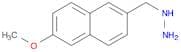 [(6-methoxynaphthalen-2-yl)methyl]hydrazine